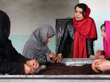 Women process an agricultural product