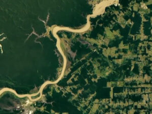 Aerial photo of green landscape