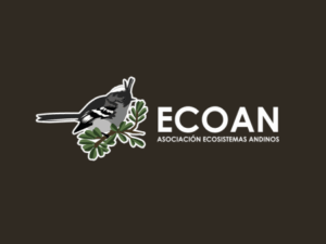 Ecoan