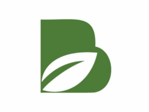 A green letter B has a leaf shape within it